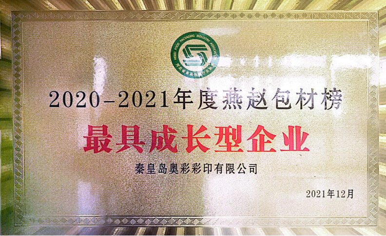 成长型企业